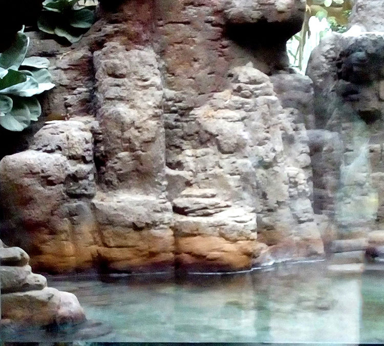 naturalización de espacios terrarios rocas artificiales en mortero TXT