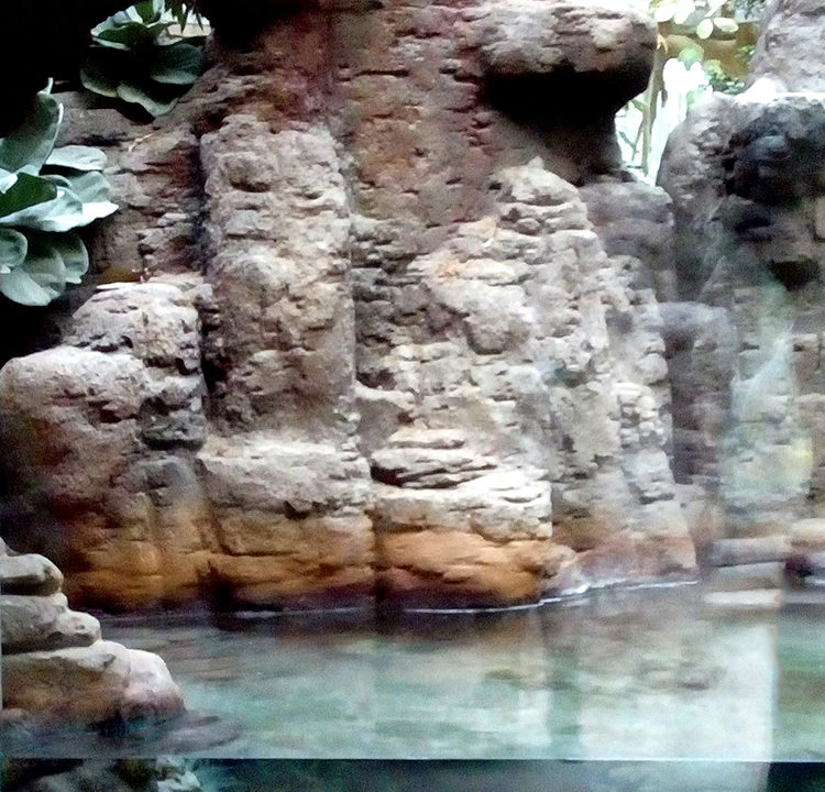 naturalización de espacios terrarios rocas artificiales en mortero TXT