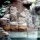 naturalización de espacios terrarios rocas artificiales en mortero TXT