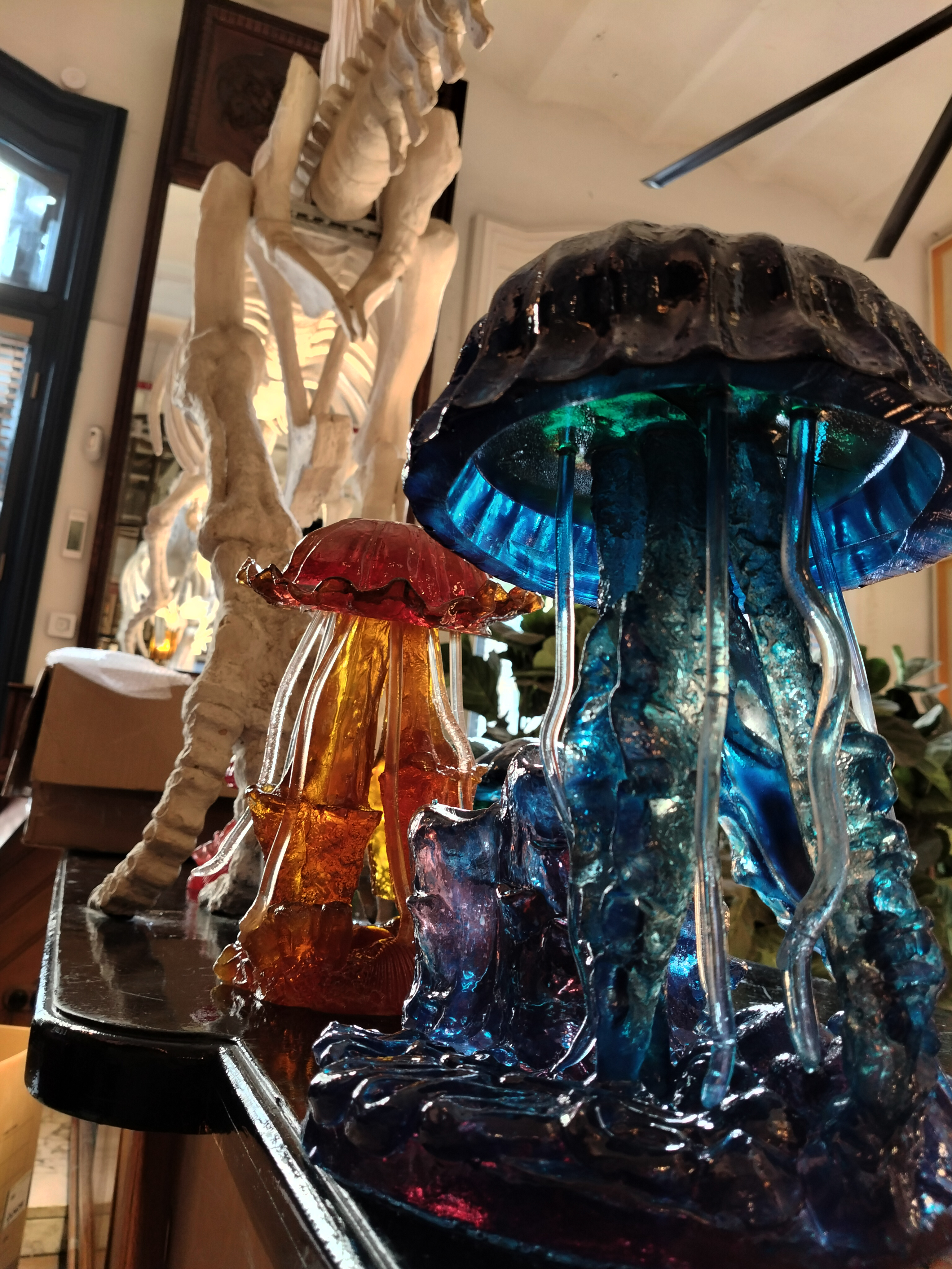 Destilería Amazónico Madrid