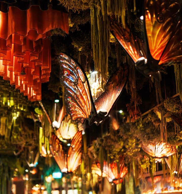 lampara_mariposas_amazonico_Dubai Restaurante Amazónico Dubai