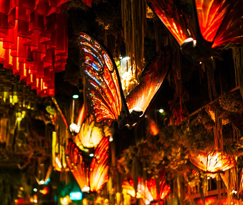 Amazonian Butterfly Lamps