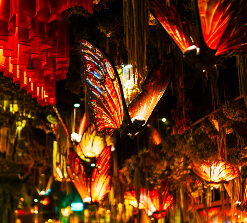 Amazonian Butterfly Lamps