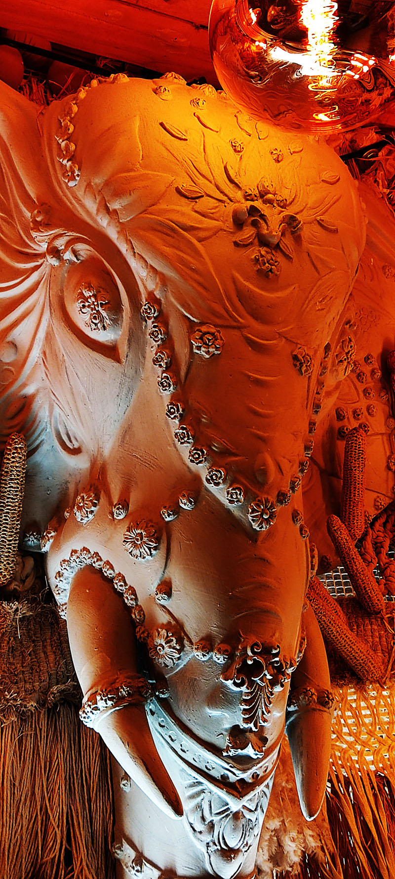 Talla elefante Zywica