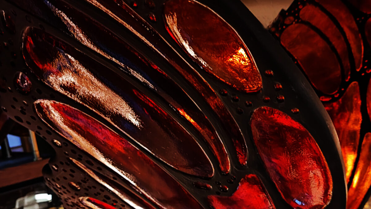 Ala de mariposa resina CSO