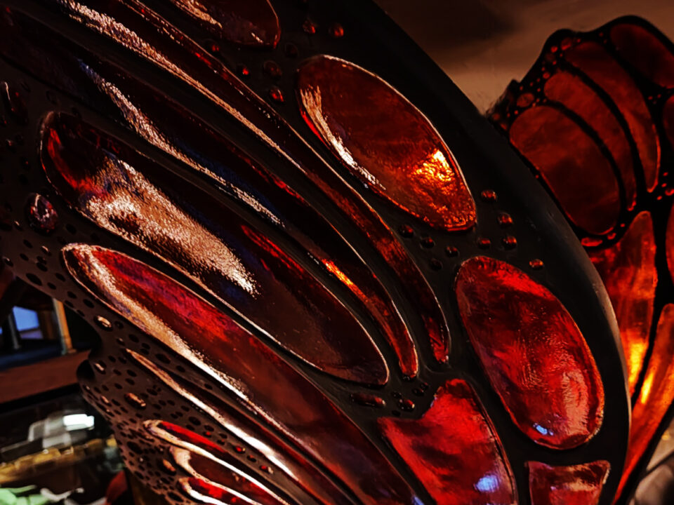 Ala de mariposa resina CSO