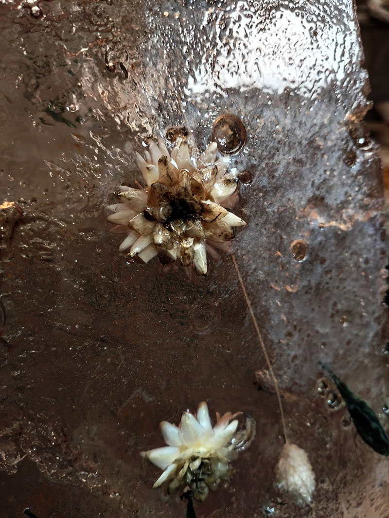 Restaurante Bibo Budapest